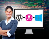 
Install Wordpress On Your Computer Step By Step From Scratch