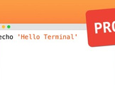 
Learn Terminal from Beginner to Professional