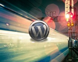 
The WpFASTER WordPress Speed Optimization Master Course