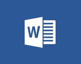 
Microsoft Word 2010