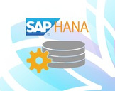 Run your Own SAP HANA in less than 30 minutes