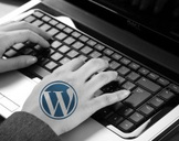 
Enhanced WordPress Strategies For Business