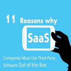 11 Reasons Why SaaS Companies Must Use Third Party Software Out of the Box - Image 1