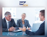 Become an SAP HCM Consultant 