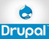 
Learn How to Manage & Customize Web Sites By Drupal CMS