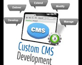 
Benefits of Custom CMS Web Development Services<br><br>