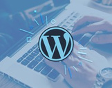
Wordpress:Quick And Easy Video Tutorial Series for Beginners