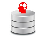 
The Ultimate Oracle SQL Course