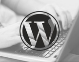 
How To Build An Online Business Using Wordpress