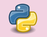 
A Gentle Introduction to Python Programming - Lite