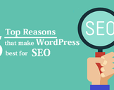 
Top 5 Reasons That Make WordPress Best For SEO<br><br>