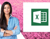
Ultimate Microsoft Excel Course - Beginner to Expert in 5h