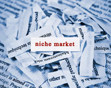
4 Popular Niche Blogs You Should Try<br><br>