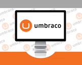 Umbraco, the little guy who hits a home run every time!