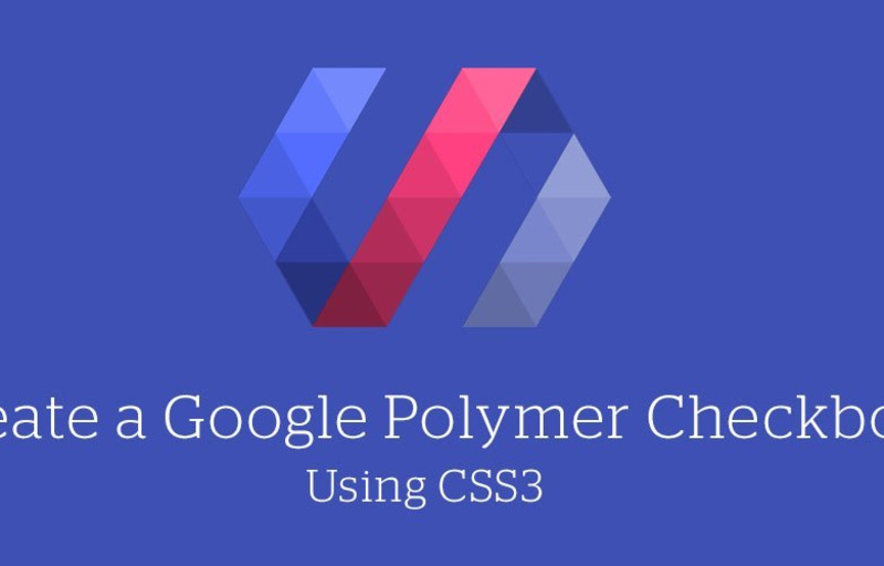 Essential points you need to know about Google Polymer - Image 6