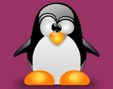 
Linux for absolute beginners - Must know Linux commands