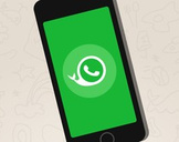 Advanced iOS Instruction: Clone WhatsApp with Bitfountain