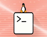 
Linux Shell Course for Beginners