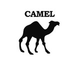
Apache Camel for Beginners - Learn by Coding in Java