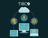 
Additional Workflow Patterns with TIBCO Business Studio