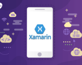 
All You Need to Know About Xamarin Development<br><br>