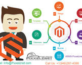 
How to Choose the Right Magento Development Services for Your eCommerce Needs<br><br>
