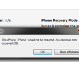 
How To Fix iTunes Error 29 ?<br><br>