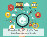 Which Types Of Businesses Can Leverage Drupal Development Services?