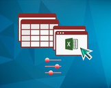 
Excel VBA and Macros programming for Absolute Beginners