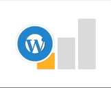 
WordPress Beginner