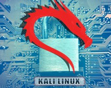 Kali Linux Web App Testing