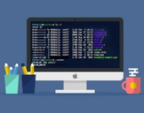 Learn the Mac Terminal Today