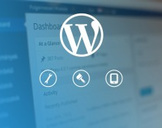 
Wordpress Development