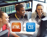 
The Complete HTML & CSS Course - From Novice To Professional