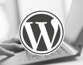 WordPress Guide - Beginner To Professional From Scratch