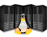 
Linux: An evolving trend that is high on demand<br><br>