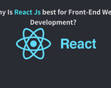 
Why is React JS Best for Front-End Web Development?<br><br>