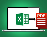 
Excel VBA to PDF Forms Mastery Course