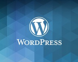 
The Complete WordPress Website Business Course