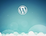 
Simple And Easy: Wordpress For Beginners