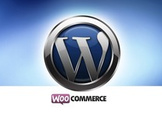 Complete Wordpress course to develop website & online Store