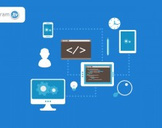 
Become a Certified Web Developer