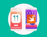 
iOS 11 & Swift 4: The Complete Developer Course