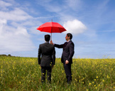 
Insurance Agents Flourish With Dominant SEO Solutions<br><br>