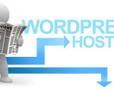 
Blogger.com vs. Paid WordPress Hosting<br><br>