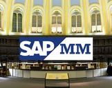 SAP Material Management Consultant Training Beginner to Adv