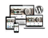 
Customizr - Learn WordPress with the ultimate creative theme