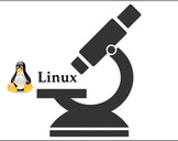 Build a free and complete Linux learning environment
