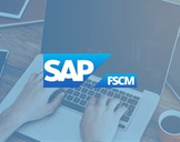 SAP FSCM Collections management