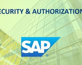 
SAP Security Training
